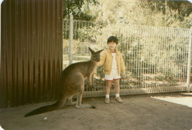 Kangaroo
